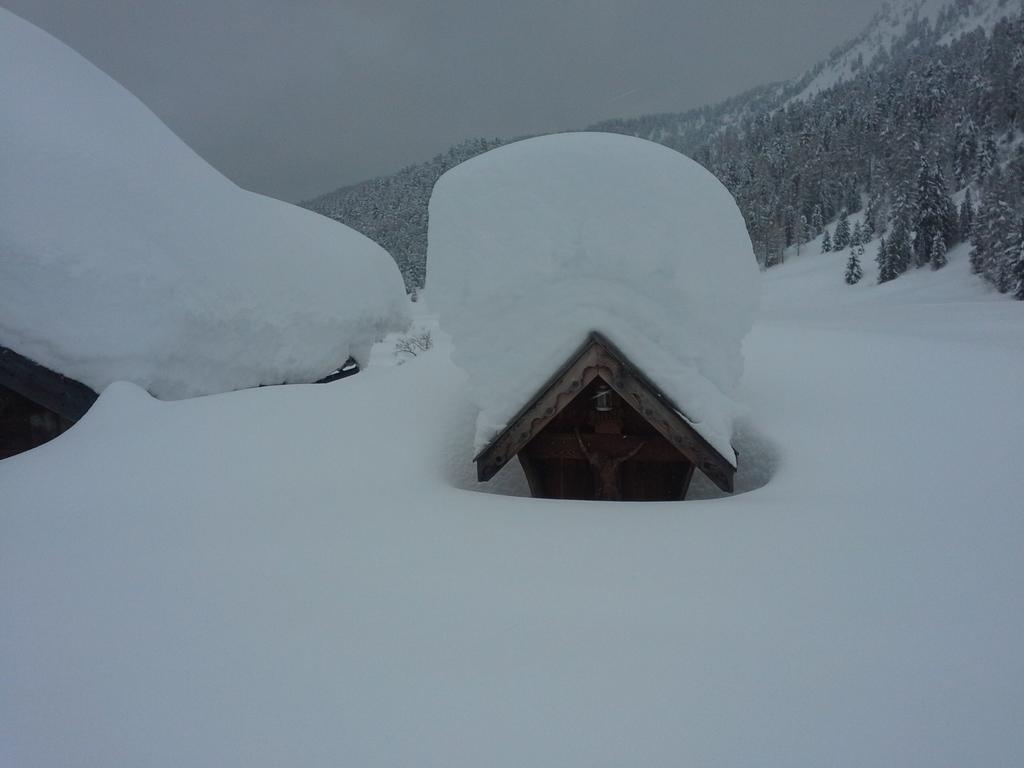 Appartamento Niki Campitello Campitello di Fassa Habitación foto